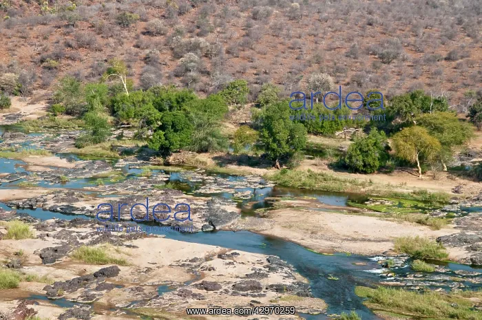 : Olifants River - Olifants Camp : Olifants River - Olifants Camp