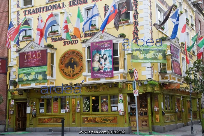 : The Oliver St John Gogarty, Temple Bar, Dublin : The Oliver St John Gogarty, Temple Bar, Dublin
