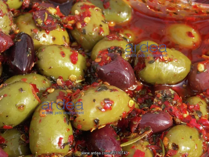 : Olives in oil for sale at a market : Olives in oil for sale at a market