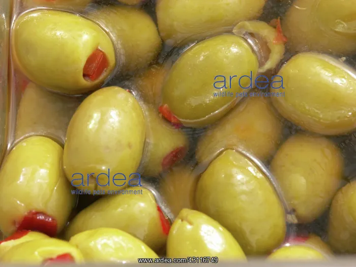 : Olives in oil for sale at a market : Olives in oil for sale at a market