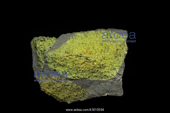 : Olivine in basalt : Olivine in basalt