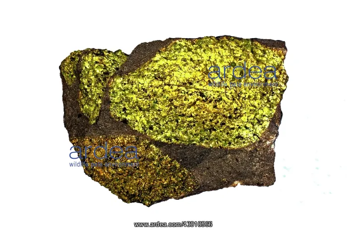 : Olivine in basalt this material originated : Olivine in basalt this material originated