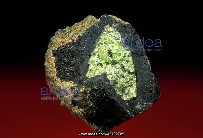 : Olivine Bomb : Olivine Bomb