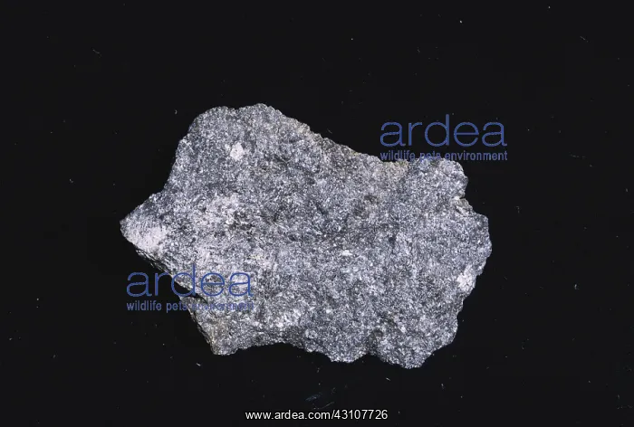 : Olivine Norite : Olivine Norite