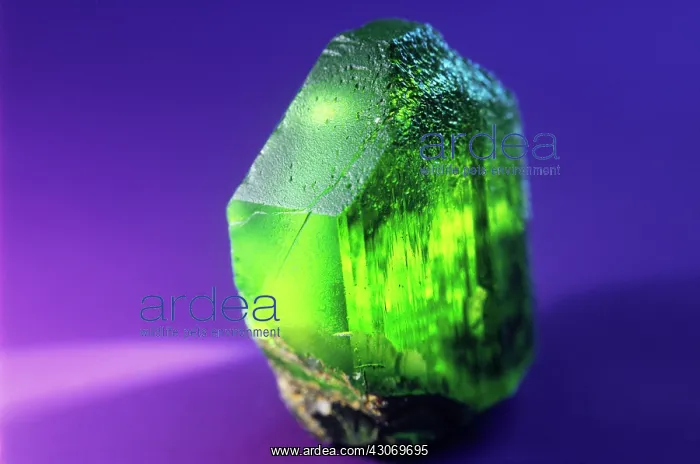 : Olivine (peridot) from Zebirget, Egypt : Olivine (peridot) from Zebirget, Egypt