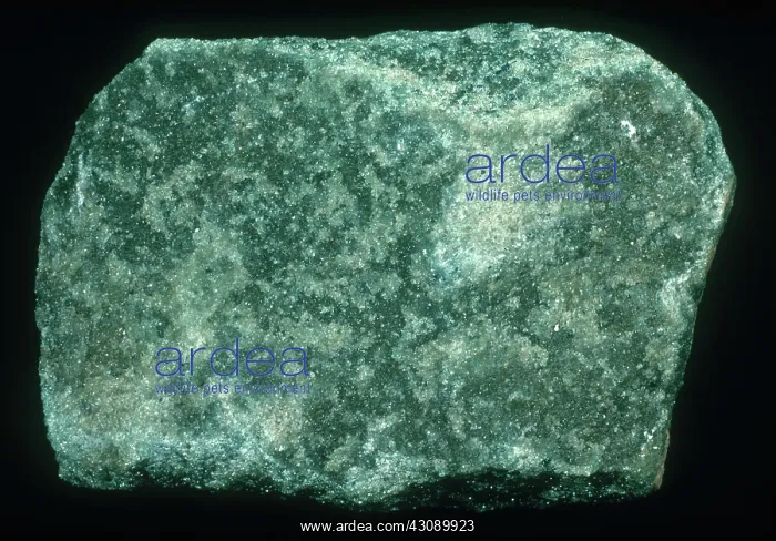 : Olivine Peridotite : Olivine Peridotite