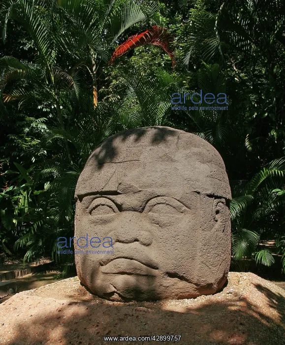  : Olmec Statue