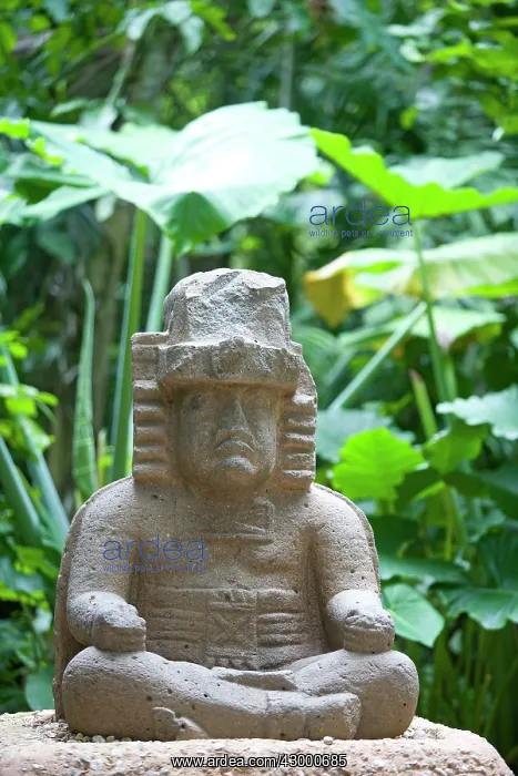 : Olmec statue The Governor : Olmec statue The Governor