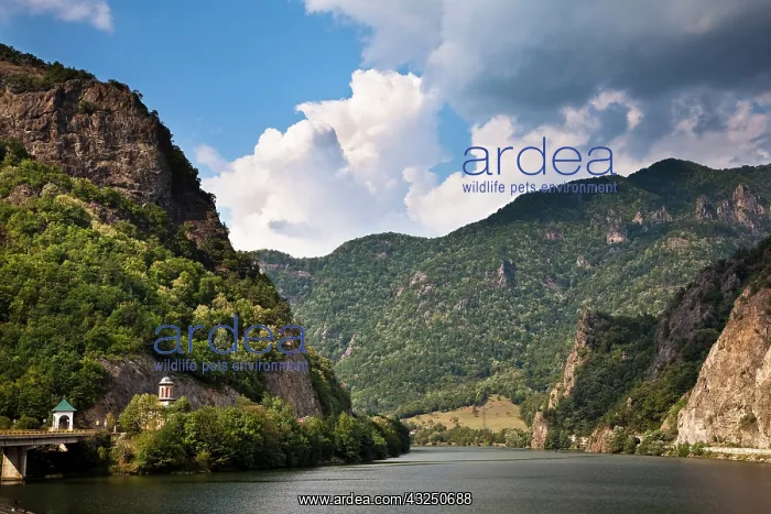 : The Olt gorge through the Carpathian mountains : The Olt gorge through the Carpathian mountains