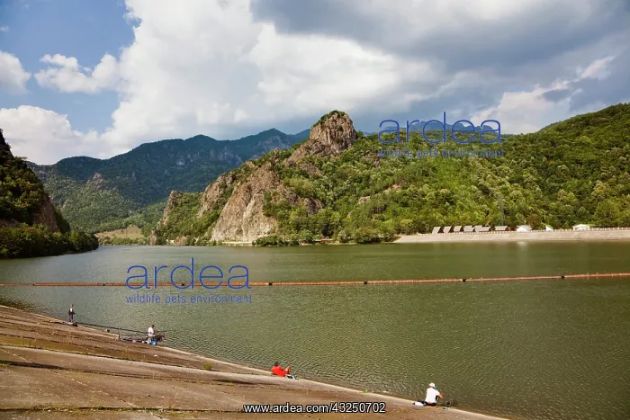 : The Olt gorge through the Carpathian mountains : The Olt gorge through the Carpathian mountains