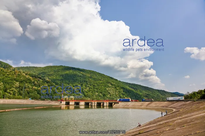: The Olt gorge through the Carpathian mountains : The Olt gorge through the Carpathian mountains