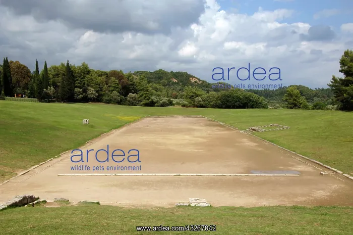 : Olympia Stadium. Olympia. Ilia Province : Olympia Stadium. Olympia. Ilia Province