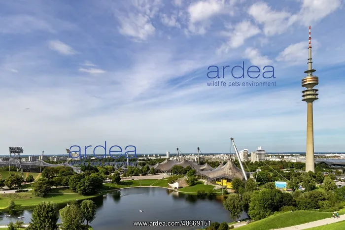: Olympic Park in Munich. Germany : Olympic Park in Munich. Germany