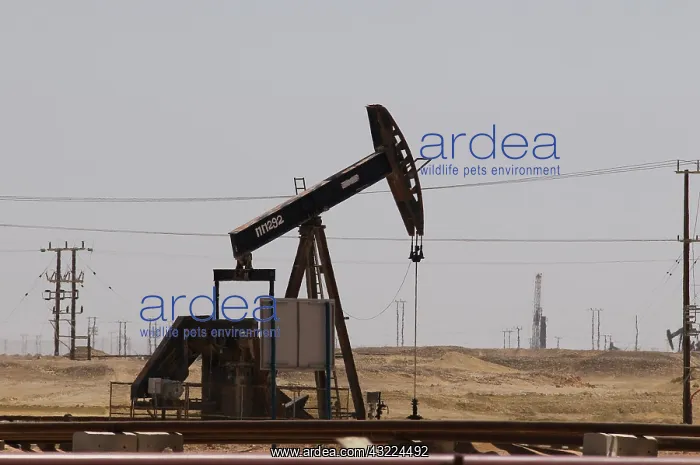 : Oman, Marmul, oil well : Oman, Marmul, oil well