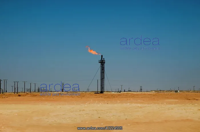 : Oman, Marmul, oil well : Oman, Marmul, oil well