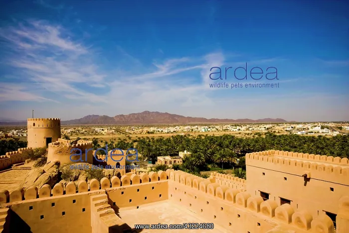  : Oman, Nakhl, fortress
