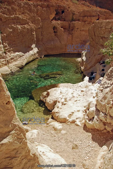 : Oman, person in natural pristine green pool : Oman, person in natural pristine green pool