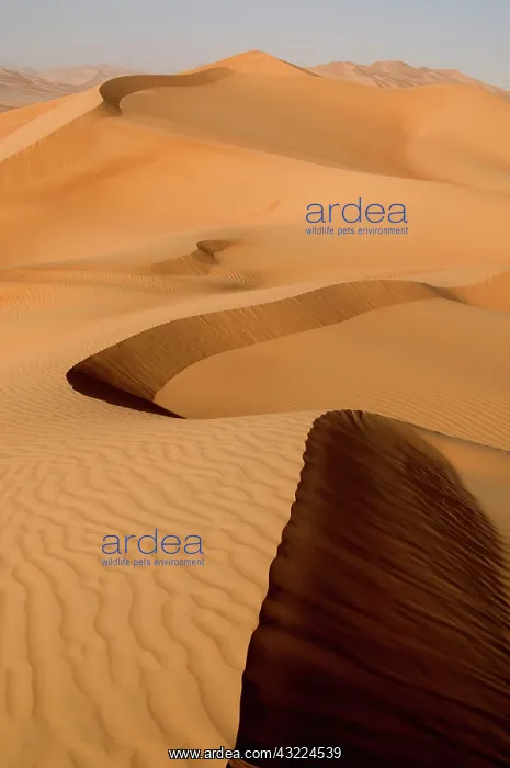 : Oman, Rub Al Khali desert : Oman, Rub Al Khali desert