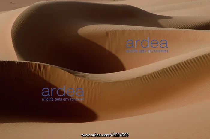  : Oman, Rub Al Khali desert