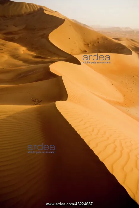  : Oman, Rub Al Khali desert
