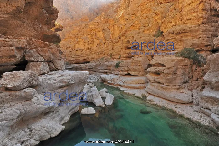 : Oman, Wadi Shab, natural pool a with gravels : Oman, Wadi Shab, natural pool a with gravels
