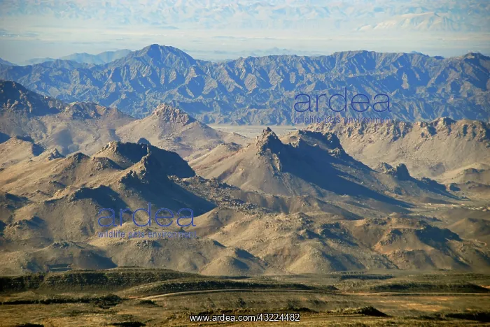 : Oman, Western Hajar Mountains, elevated : Oman, Western Hajar Mountains, elevated