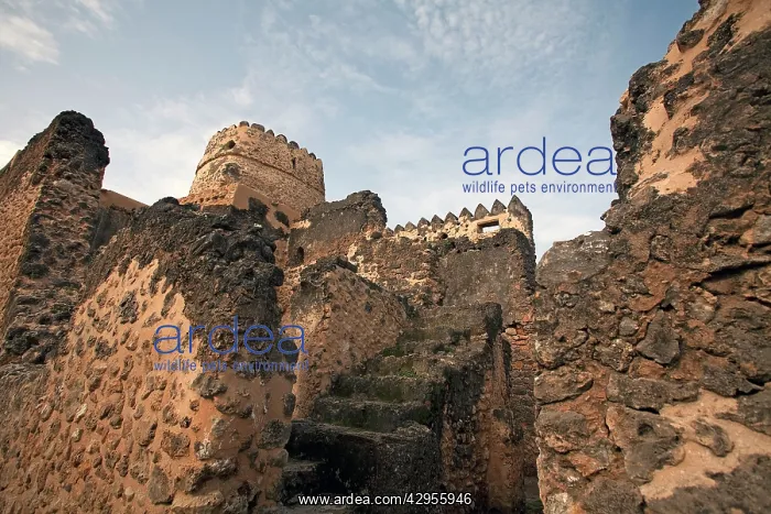 : Omani Fortress - built at the beginning of the 16th century : Omani Fortress - built at the beginning of the 16th century