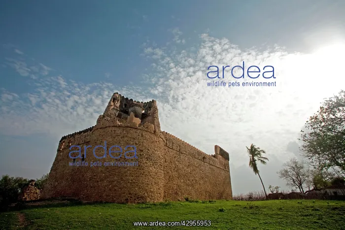 : Omani Fortress - built at the beginning of the 16th century : Omani Fortress - built at the beginning of the 16th century