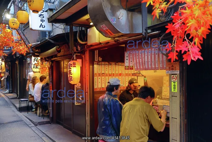 : Omoide Yokocho or Memory Lane alleyway in Shinjuku, Tokyo, J : Omoide Yokocho or Memory Lane alleyway in Shinjuku, Tokyo, J