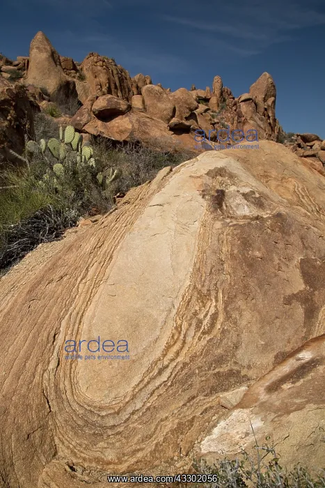 : Onionskin weathering of igneous rock - remains of : Onionskin weathering of igneous rock - remains of