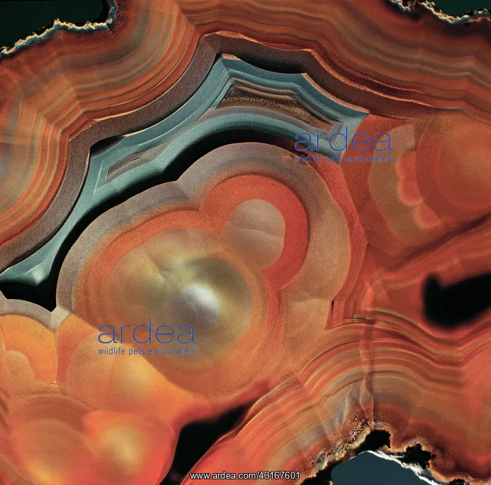  : Onyx, a banded mineral composed of silicon dioxide (SiO2)