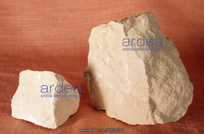 : Oolitic Limestone : Oolitic Limestone