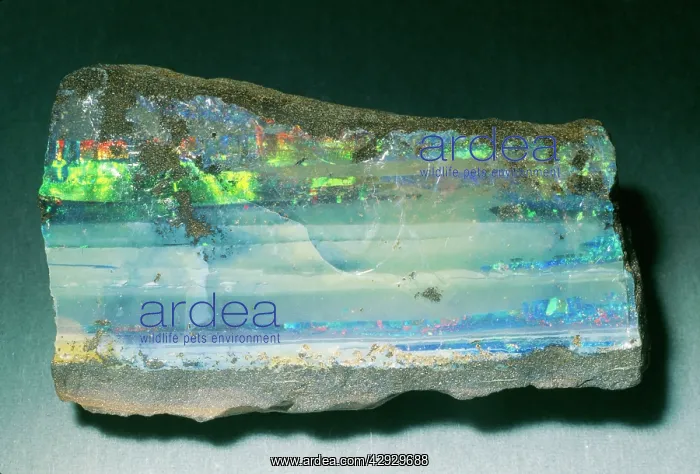 : OPAL - Boulder : OPAL - Boulder