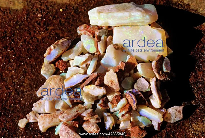 : Opal chips (a parcel) Coober Pedy : Opal chips (a parcel) Coober Pedy