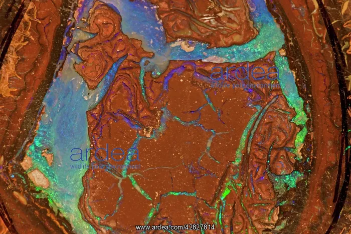  : Opal - Mined in Yowah - Queensland Australia