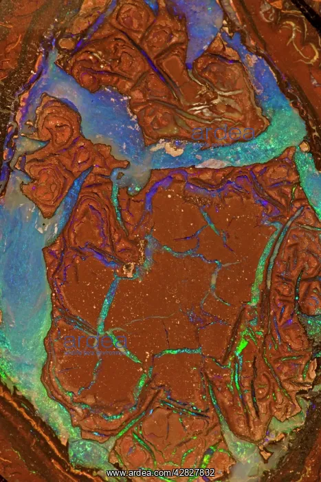  : Opal - Mined in Yowah - Queensland Australia