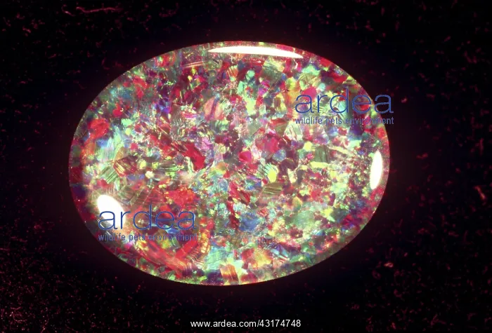 : Opal. An opal stone : Opal. An opal stone