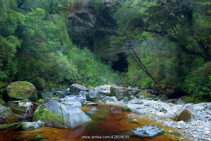 : Oparara Arch - view of Oparara Arch and Oparara : Oparara Arch - view of Oparara Arch and Oparara