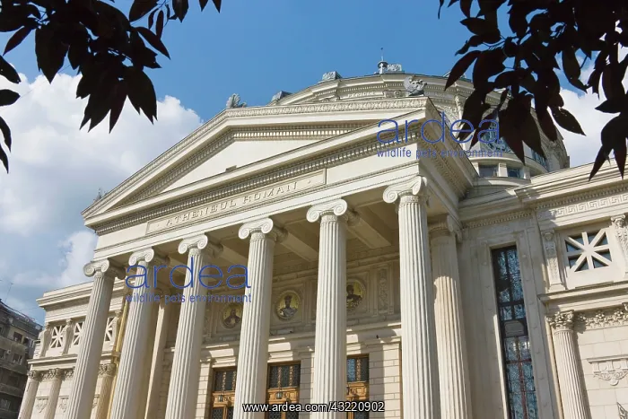 : Opera House, Bucharest, Romania : Opera House, Bucharest, Romania