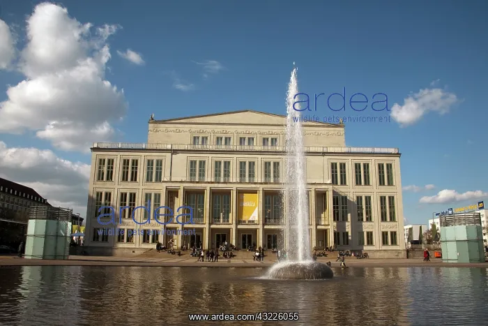 : Opera House and fountain on Augustus Plaza : Opera House and fountain on Augustus Plaza