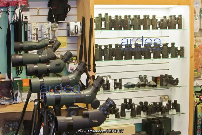 : Optics Display at The Fat Robin Wild Bird and Nature Shop : Optics Display at The Fat Robin Wild Bird and Nature Shop