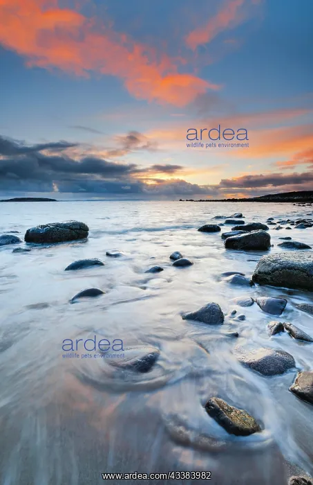 : Orange coloured cloudy sky at sunset on a sandy : Orange coloured cloudy sky at sunset on a sandy