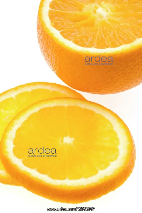  : Orange half & slices
