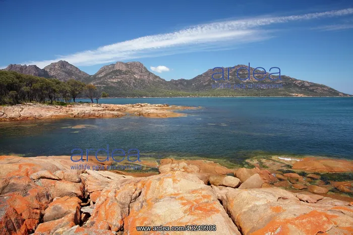 : Orange Lichen on Rocks, Coles Bay, and The : Orange Lichen on Rocks, Coles Bay, and The