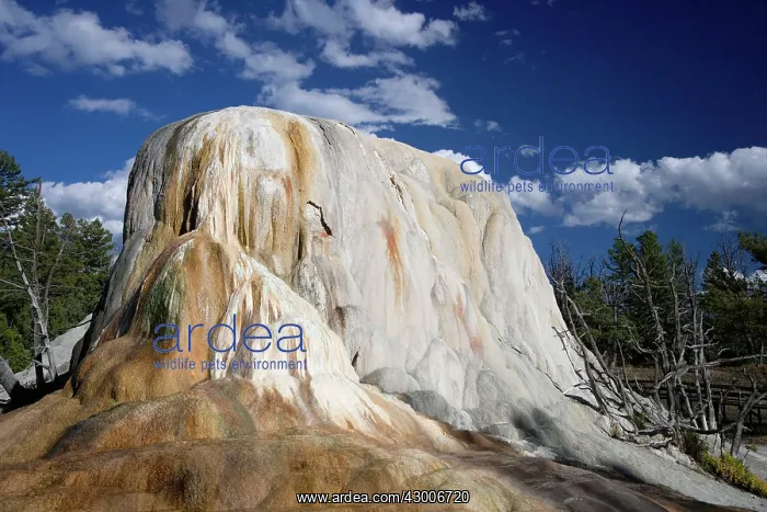  : Orange MoundMammoth Springs