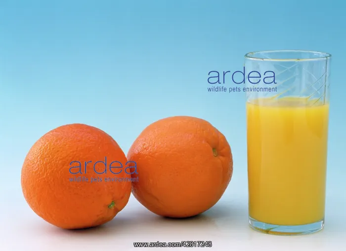: Oranges - & a glass of Orange Juice : Oranges - & a glass of Orange Juice