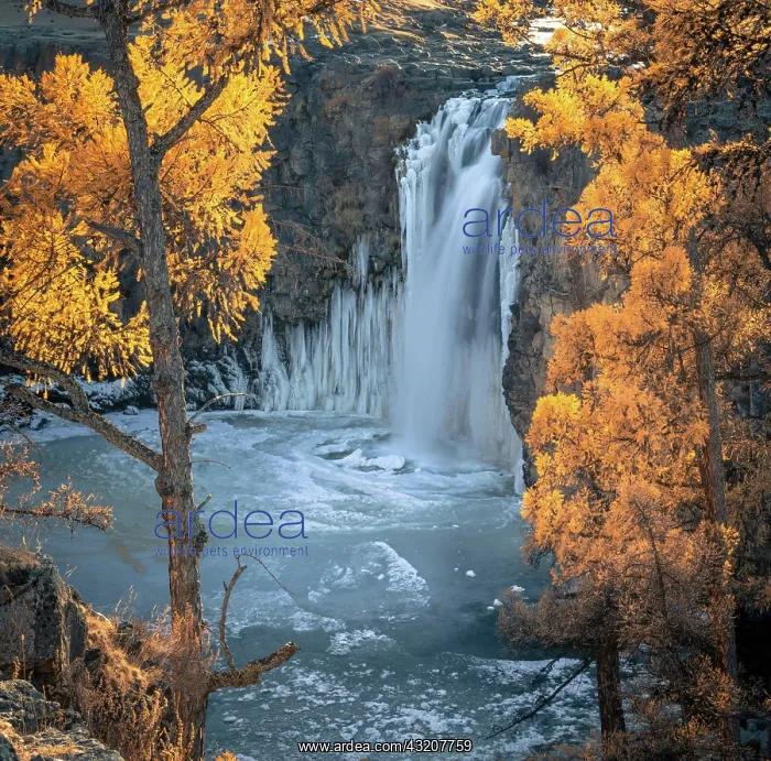: Orchon waterfall surrounded by autumnal coloured : Orchon waterfall surrounded by autumnal coloured