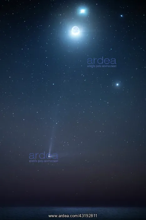 : In order from the top: Venus; Regulus; Moon; Jupiter; : In order from the top: Venus; Regulus; Moon; Jupiter;