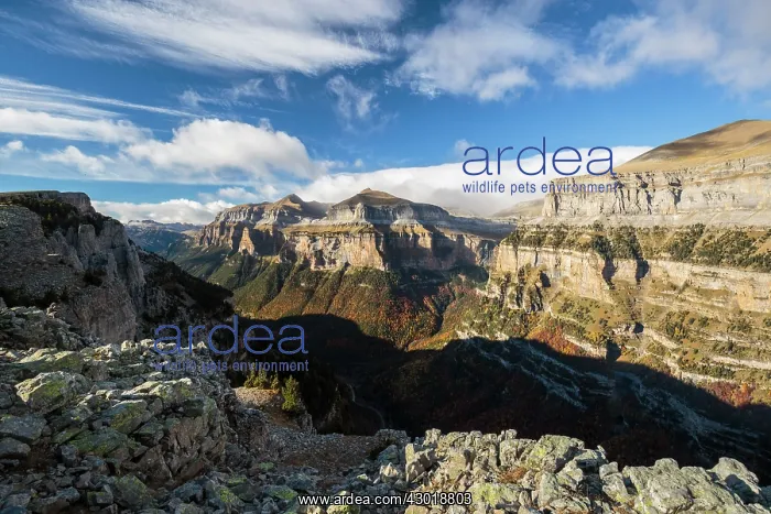  : Ordesa valley lookout