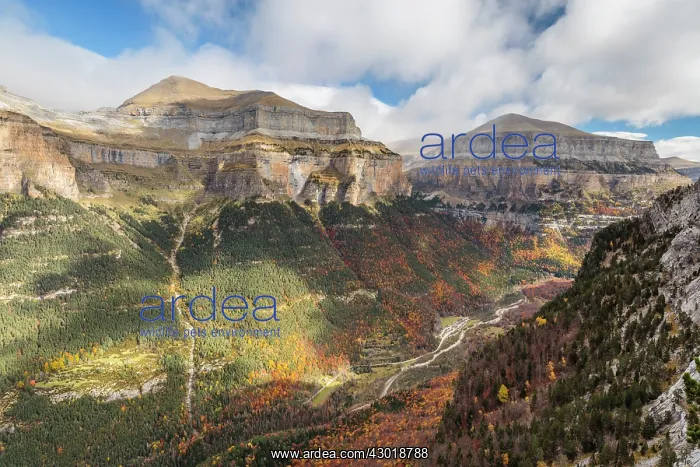  : Ordesa valley and the meadow